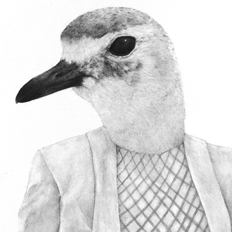 Pencil drawing of a ruddy turnstone bird posed as a person